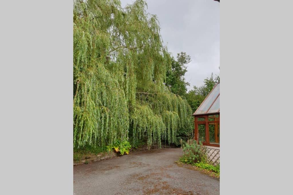 Willow Lodge Abergavenny Exterior photo